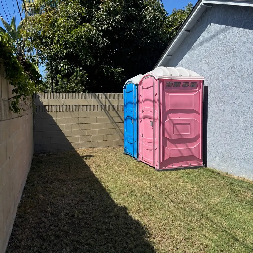 Blue and pink portable toilets placed on grass in a fenced backyard